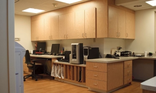 Bring Enhanced Organization to Your Practice With Healthcare Casework